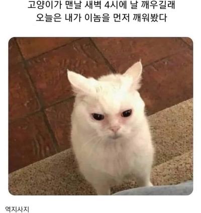 후기 사진 1