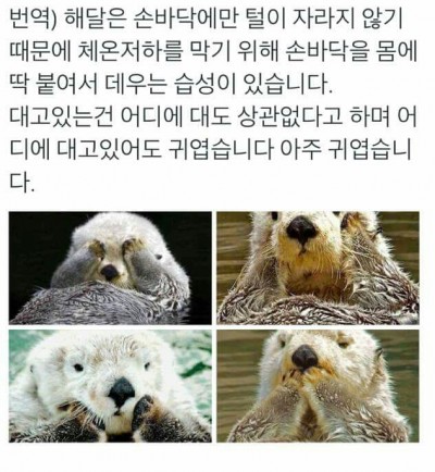 후기 사진 1