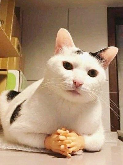 후기 사진 1