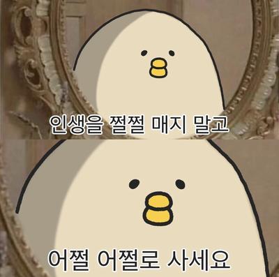 후기 사진 1