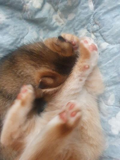 후기 사진 6