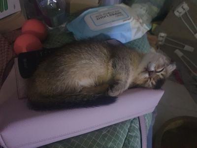 후기 사진 4
