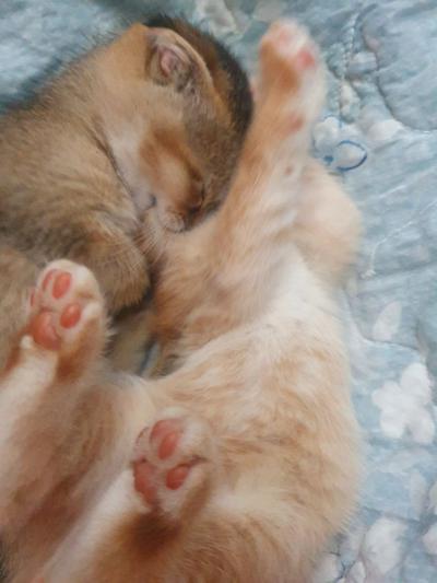 후기 사진 5