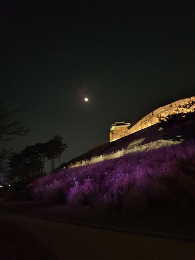 후기 사진 1