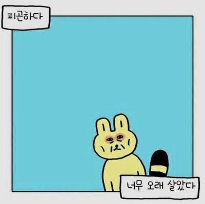 후기 사진 1