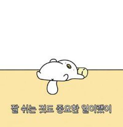후기 사진 1