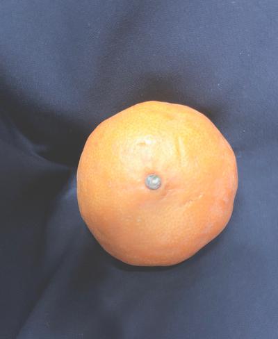 후기 사진 1