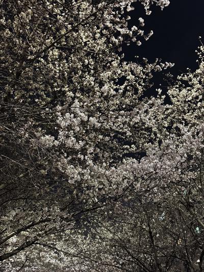 후기 사진 1