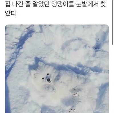 후기 사진 1