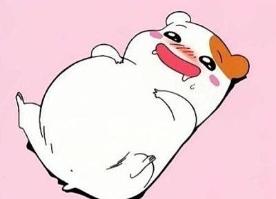 후기 사진 1