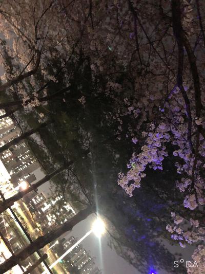 후기 사진 1