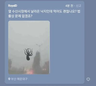 후기 사진 1