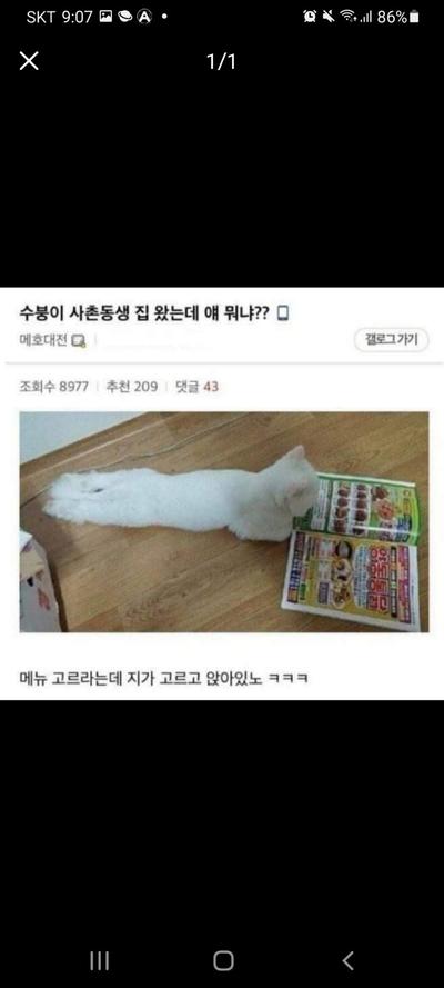 후기 사진 1