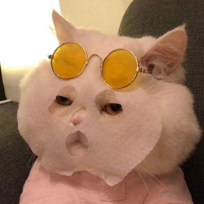 후기 사진 1