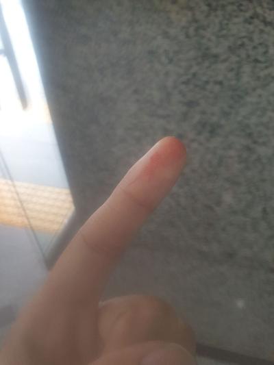 후기 사진 2