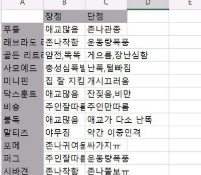 후기 사진 1