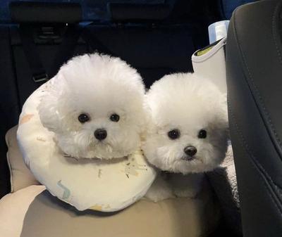 후기 사진 1