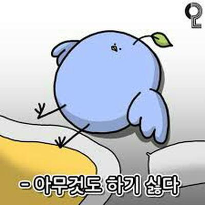 후기 사진 1