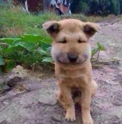 후기 사진 1