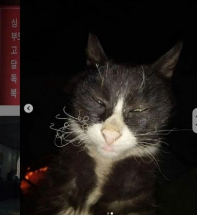 후기 사진 2