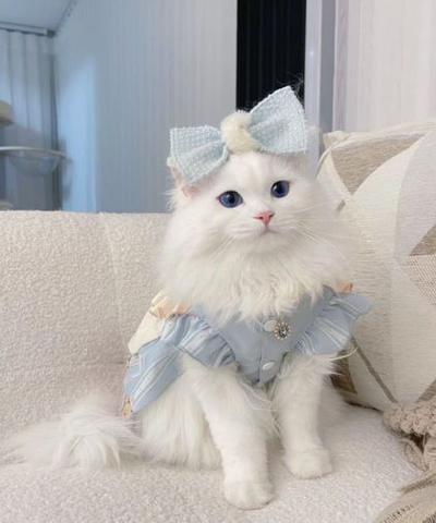 후기 사진 1