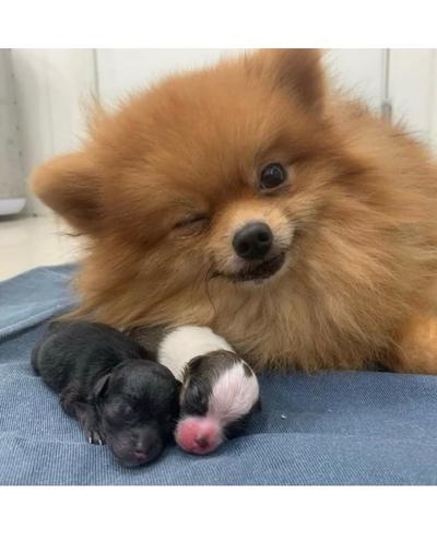 후기 사진 1