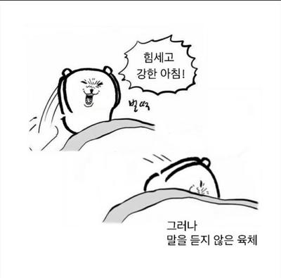 후기 사진 1