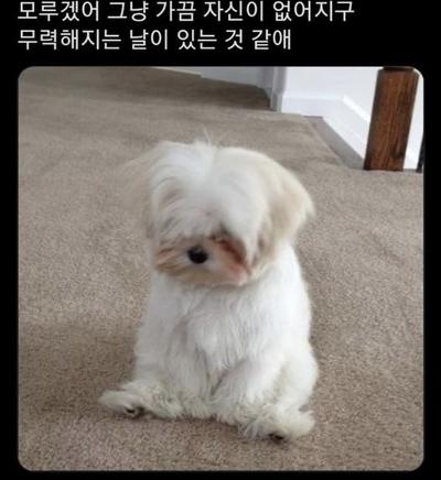후기 사진 1