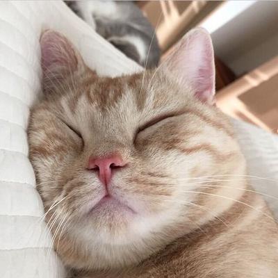 후기 사진 1
