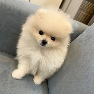 후기 사진 1