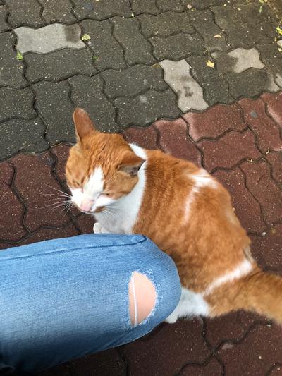 후기 사진 1