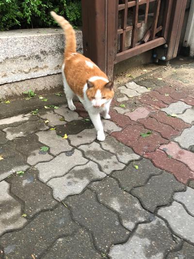 후기 사진 2