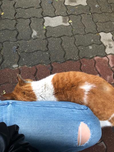 후기 사진 3