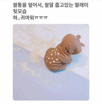 후기 사진 1