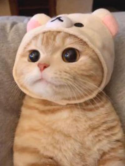 후기 사진 1
