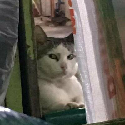 후기 사진 1