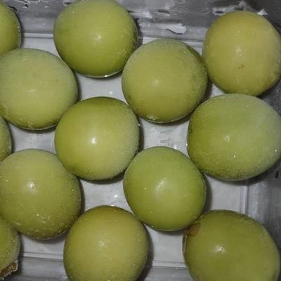 후기 사진 1