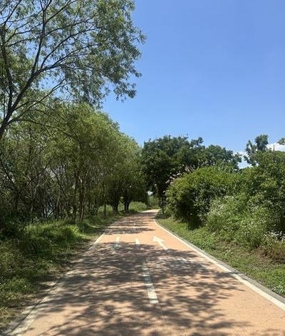 후기 사진 1