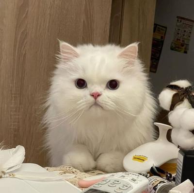 후기 사진 1