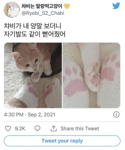 후기 사진 1