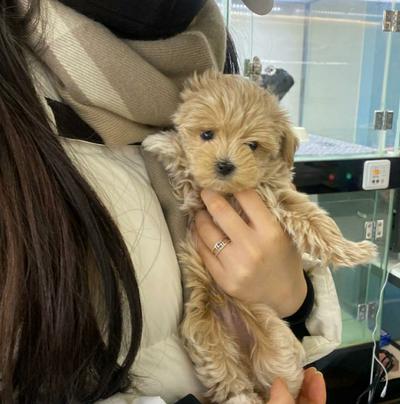 후기 사진 1