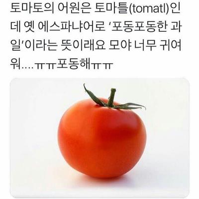 후기 사진 1