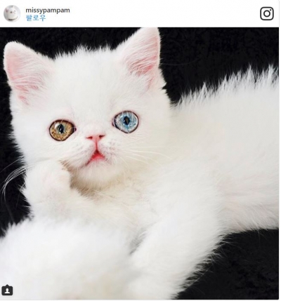 후기 사진 1