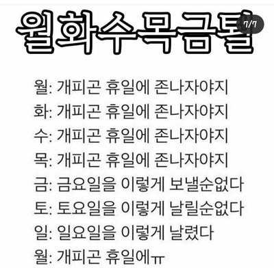후기 사진 1