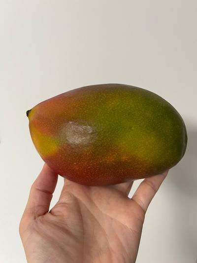 후기 사진 1