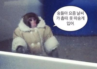 후기 사진 1
