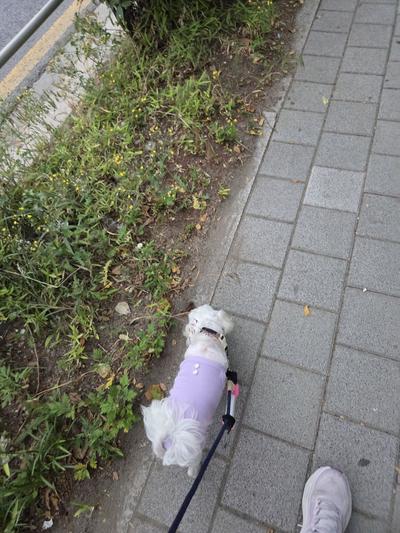 후기 사진 1