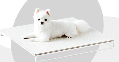 후기 사진 2