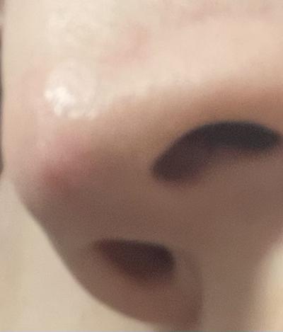 후기 사진 1