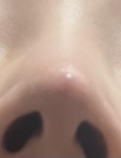 후기 사진 2